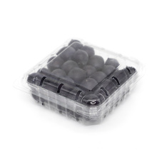 Custom plastic strawberry fruit  packaging transparent plastic blister tray